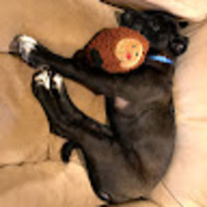 Meet your Posher, Lori